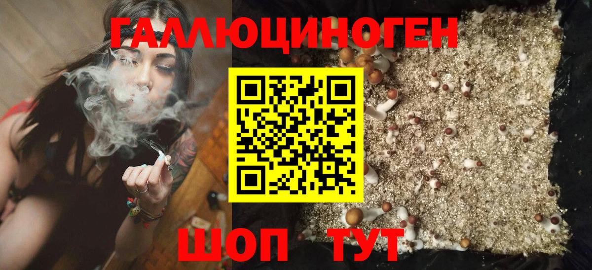 Лыткарино  Псилоцибиновые грибы MAGIC MUSHROOMS  Вход с VPN  Псилоцибиновые грибы MAGIC MUSHROOMS 